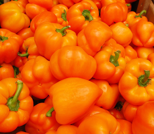 Orange Sun Pepper Seeds