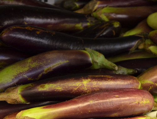 Waimanalo Long Eggplant Seeds