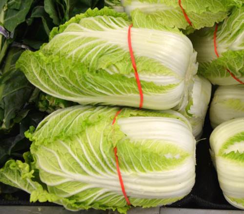 NAPA Chinese Cabbage, Kyoto Seeds NAPA Chinese Cabbage, Kyoto Seeds