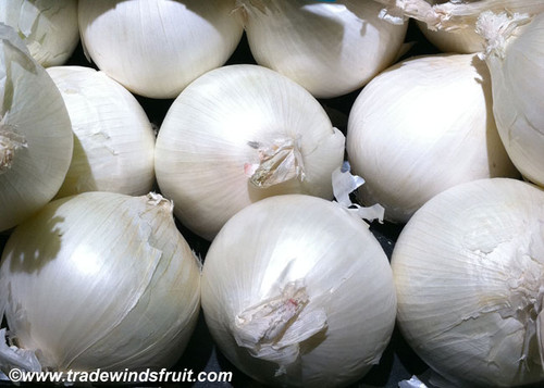 White Sweet Spanish Onion Seeds White Sweet Spanish Onion Seeds