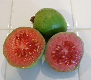 Psidium guajava - Vietnamese Guava Seeds