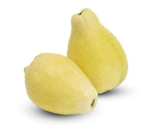 Psidium guajava - Egyptian Guava Seeds Psidium guajava - Egyptian Guava Seeds