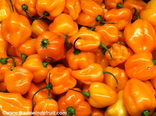 Habanero Pepper, Orange Seeds