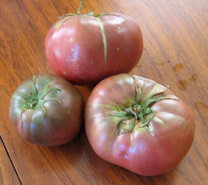 Brandywine Tomato, Black Seeds