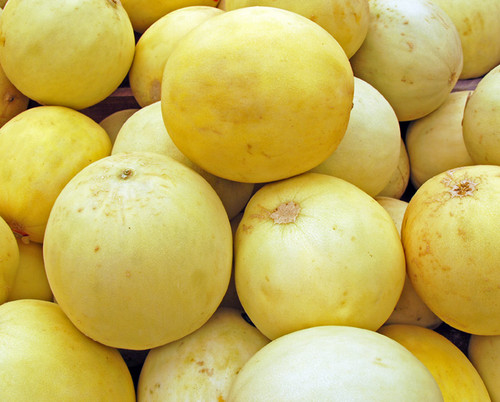 Honeydew Melon, Tam Dew Seeds
