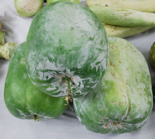 Winter Melon, Large Oblong Seeds Winter Melon, Large Oblong Seeds