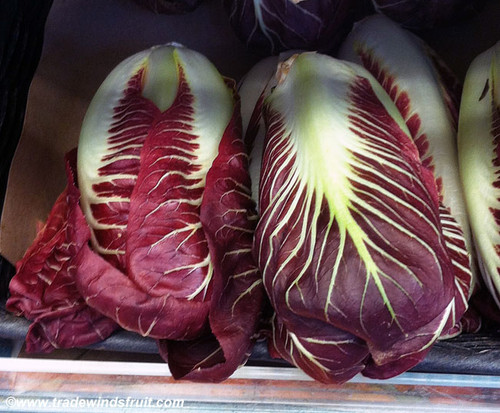 Cichorium intybus - Radicchio, Rossa di Treviso Seeds