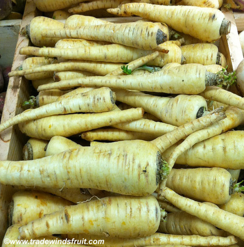 Parsnip, Hollow Crown Seeds