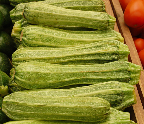 Zucchini, Cocozelle  Seeds