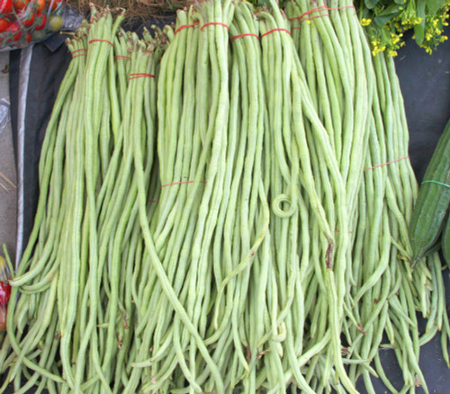 Yard Long Bean, White Seeds