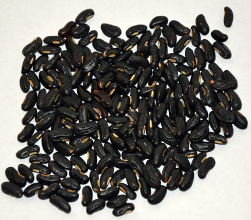 Yard Long Bean, Black Seed