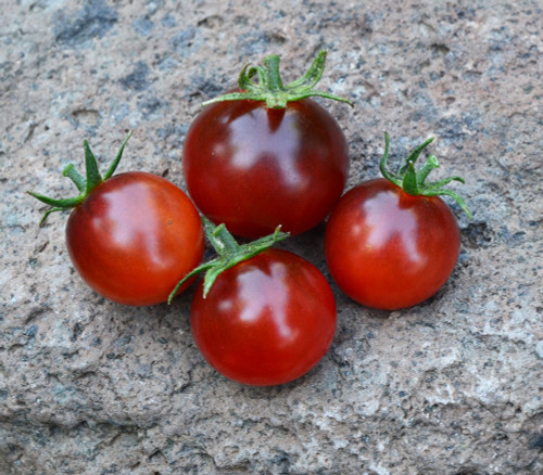Bing Cherry Tomato Seeds