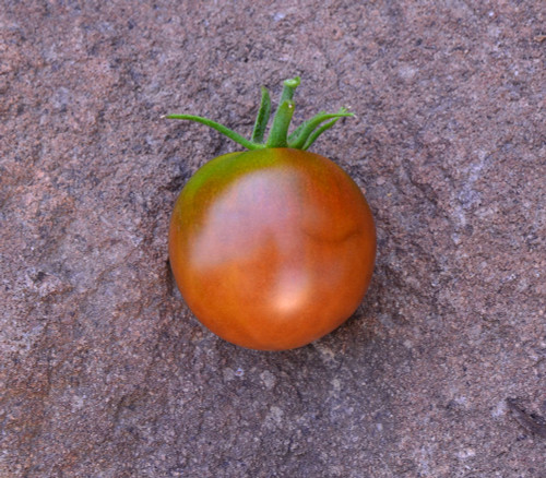 Brown Sugar Tomato Seeds