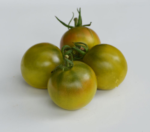 Green Ghost Tomato