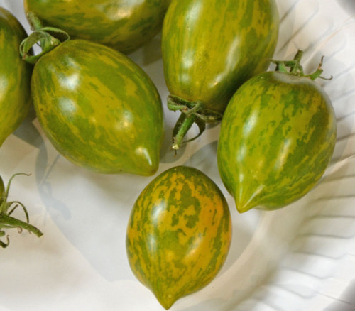 Mint Julep Tomato Seeds