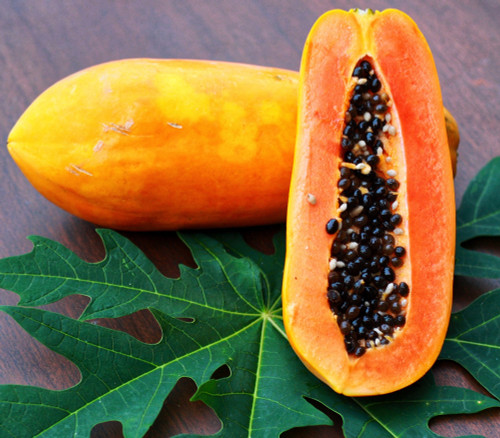 Carica papaya - Honeydew Papaya Seeds