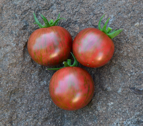 Purple Bumblebee Tomato Seeds