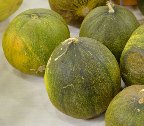 Collective Farm Woman Melon Seeds