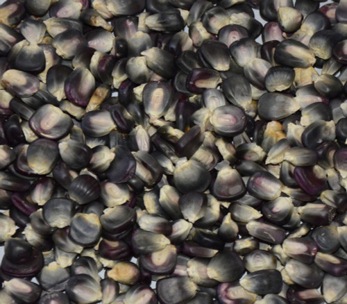 McCormack's Blue Giant Corn Seeds