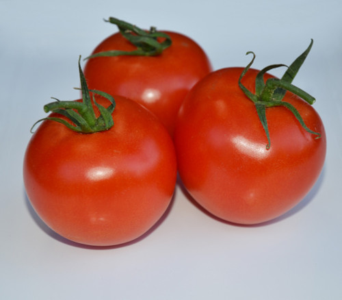 Marglobe Tomato Seeds