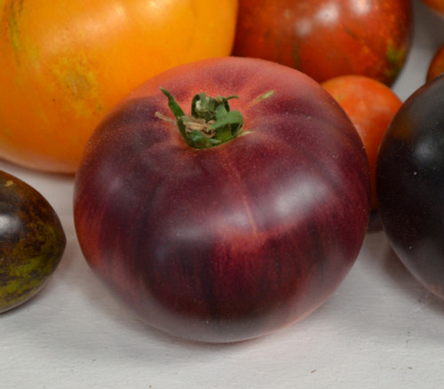 Blue Beauty Tomato