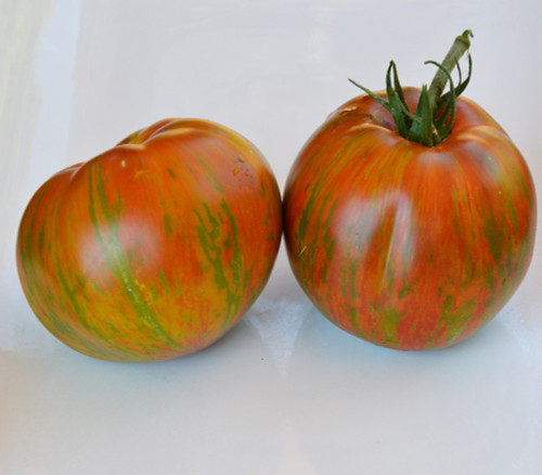 Zebra Heart Tomato