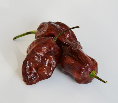 Trinidad Scorpion Moruga Chocolate Pepper