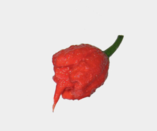 Carolina Reaper Pepper Seeds Carolina Reaper Pepper Seeds