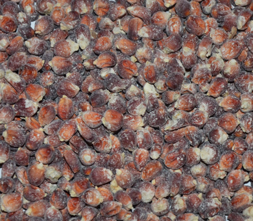 Floriani Red Flint Corn Seeds