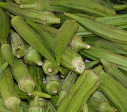 Cajun Jewel Okra Seeds