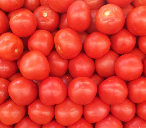 Abe Lincoln Tomato Seeds