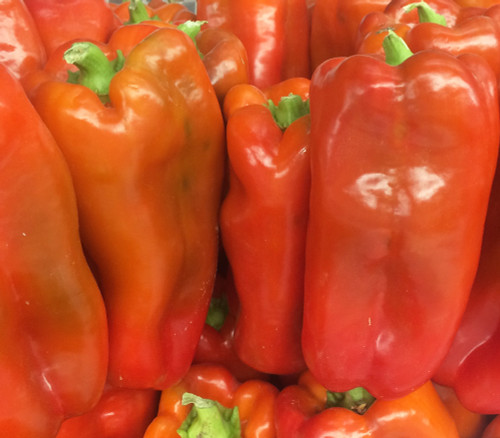 Ozark Giant Pepper Seeds