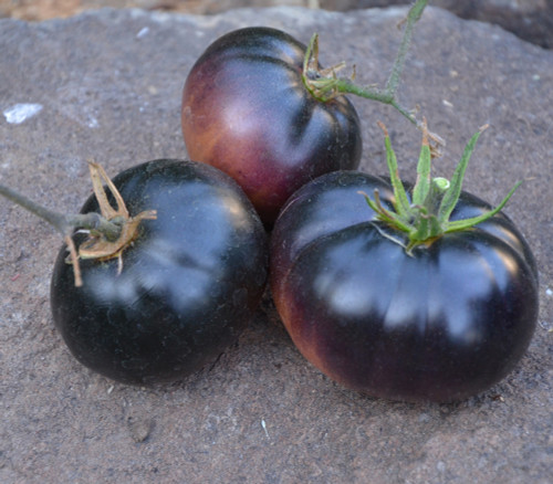 Black Beauty Tomato Seeds