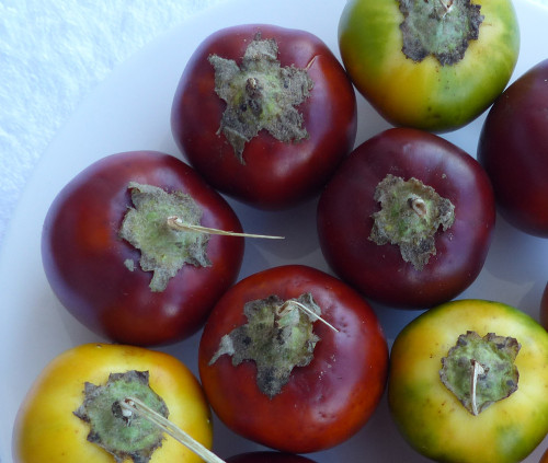 Solanum sessiliflorum - Red Cocona Seeds