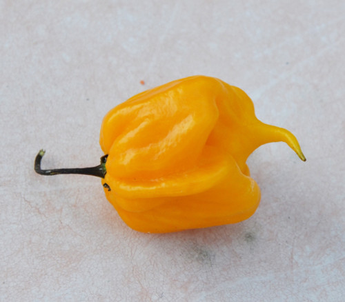 Carolina Reaper Yellow Pepper Seeds