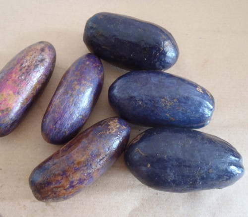 Dacryodes edulis - Butterfruit Seeds Dacryodes edulis - Butterfruit Seeds