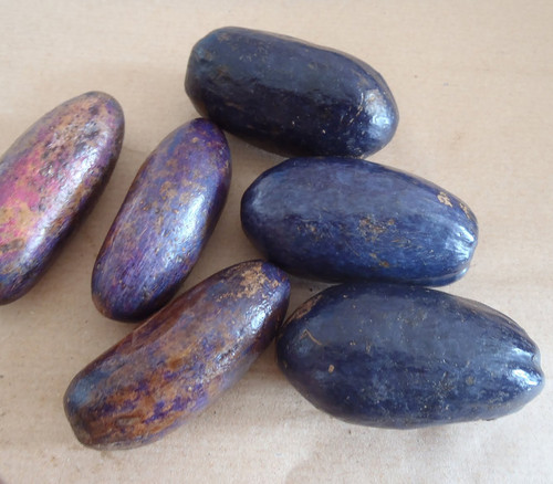 Dacryodes edulis - Butterfruit Seeds
