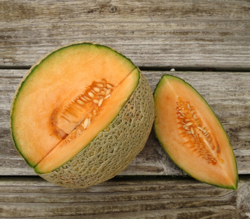 Sierra Gold Melon Seeds