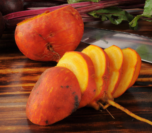 Golden Detroit Beet Seeds Golden Detroit Beet Seeds