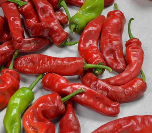 Sweet Melrose Pepper Seeds