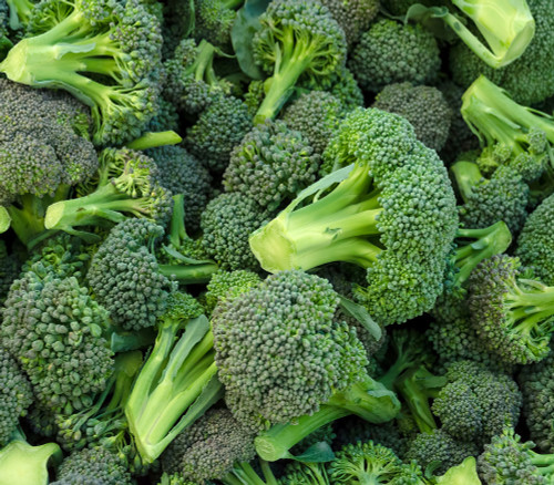 Waltham 29 Broccoli Seeds Waltham 29 Broccoli Seeds