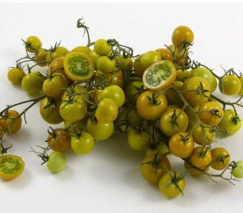 Gobstopper Tomato Seeds