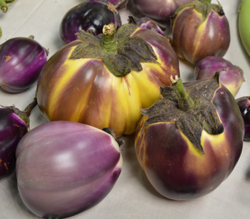 Prosperosa Eggplant Seeds