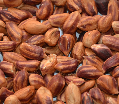 Wild Jungle Peanut Seeds