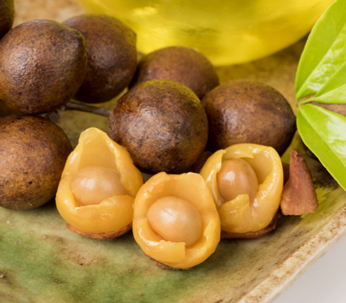 Schleichera oleosa - Kusum Tree Seeds