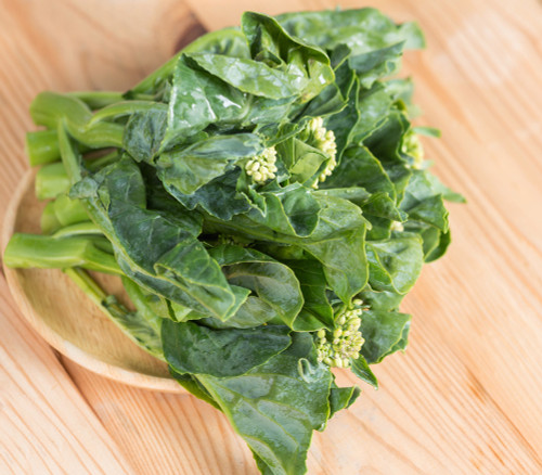 Chinese Broccoli, Kailaan Seeds Chinese Broccoli, Kailaan Seeds