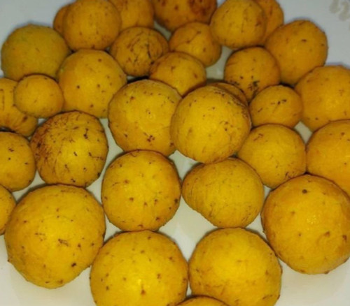 Rollinia emarginata - Wild Annona Seeds Rollinia emarginata - Wild Annona Seeds