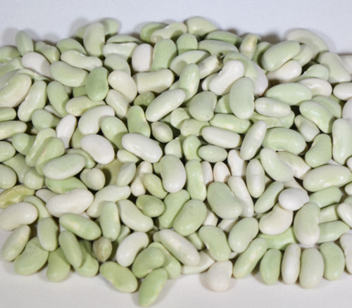 Flageolet Bean Seeds