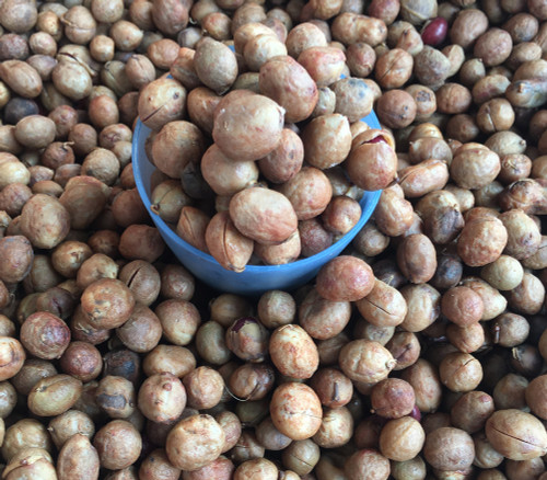 Vigna subterranea - Bambara Groundnut Seeds