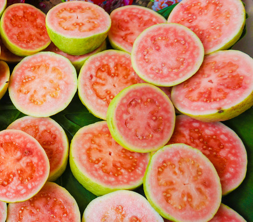 Psidium guajava - Colombian Red Guava Seeds